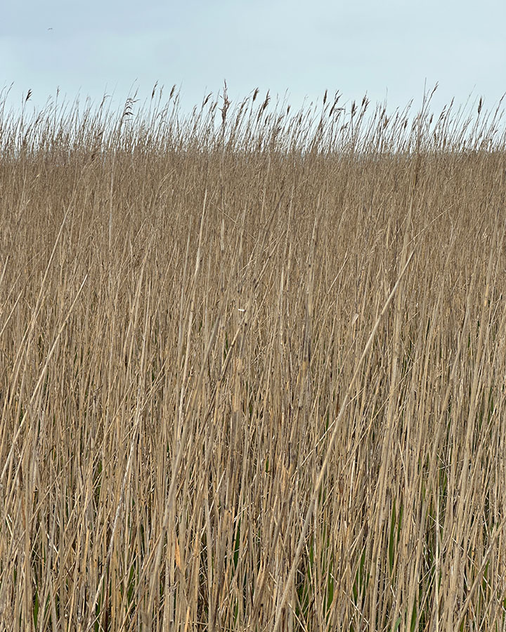 Nicolai Bo Andersen Arkitekt